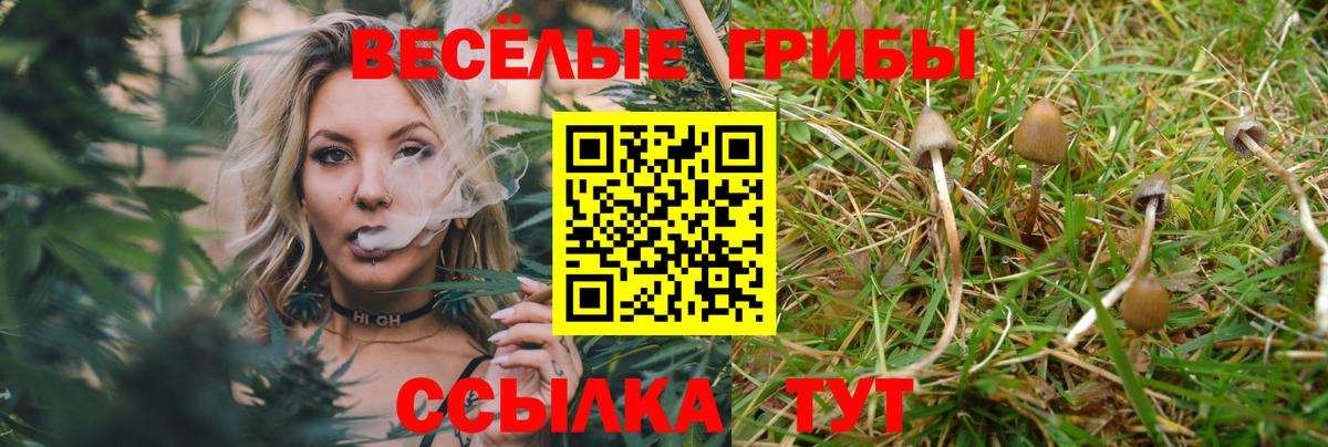 Псилоцибиновые грибы GOLDEN TEACHER Соль-Илецк