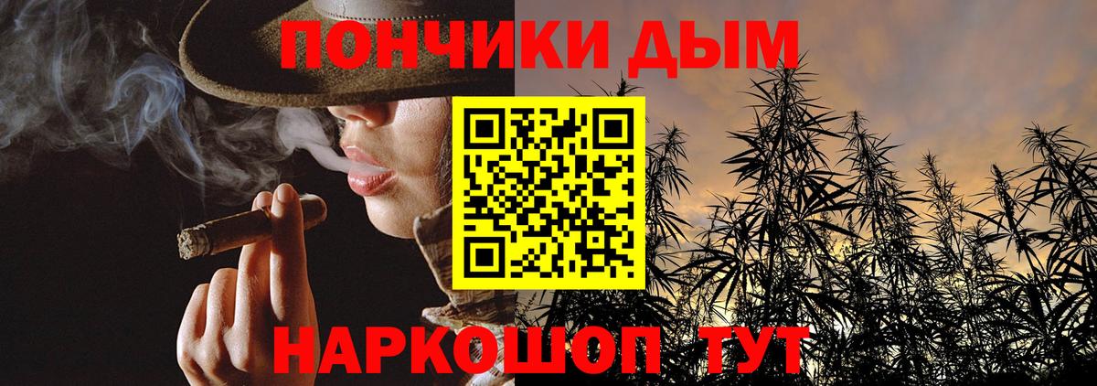 Бошки Шишки гибрид  Канабис VHQ  Вход с VPN  МАРИХУАНА сатива  Канабис план  Соль-Илецк 